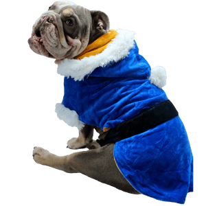 Capa Navideña para perros