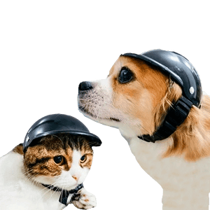 Imagen del producto: Casco de Seguridad para mascotas