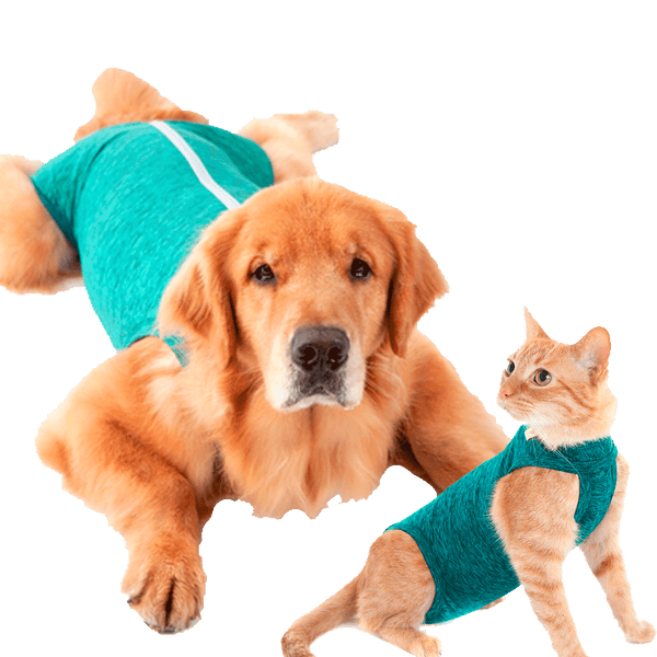 Imagen del producto: Fajas Posquirúrgicas para mascotas